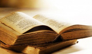 rush是什么意思（brush是什么意思）