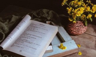 切的多音字（切的多音字注音并组词）