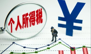 2021个人所得税退税流程 2021个人所得税退税流程表