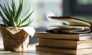 小数的基本性质概念 小数的基本性质的概念