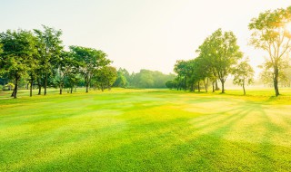 光速是什么单位（光速是什么单位光年是什么单位）