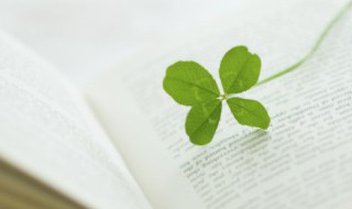 三言两语的意思（只言片语的意思）