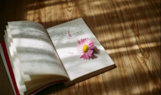 静待花开是什么意思啊（来年静待花开是什么意思啊）