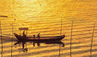 大黄鱼之乡是哪里 大黄鱼之乡是指哪里