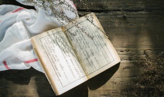 226231是什么意思(226232什么意思)