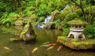 池组词（池塘的塘组词）