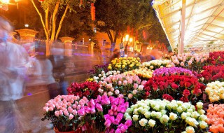 行字组词（循字组词）