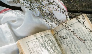 造的组词是(造的组词是什么啊?)