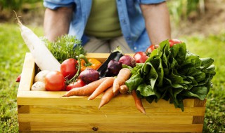 吃什么食物能补钾（甲低可以吃什么食物能补钾）