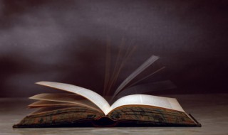 违字组词（违字组词和部首）