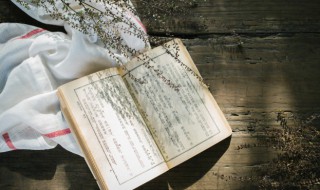 租字组词 租字组词语