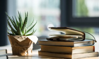 塔怎么组词 塔怎么组词语