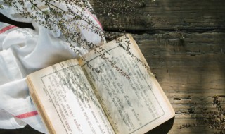 青鸟作者简介 青鸟作者简介100字怎么写