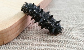 海参怎么分辨多少头（海参怎么看多少头）