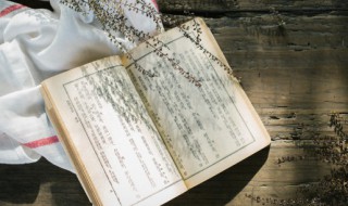 边城作者简介（边城作者简介100字）