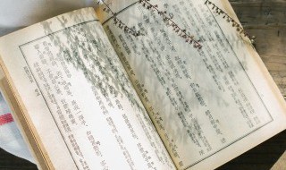 长怎么读音（埒怎么读音）