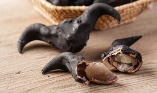 菱角是发物吗 菱角是发物吗手术能吃