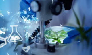 单糖多糖双糖的区别（糖尿病吃单糖还是多糖）