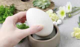 什么体质的人不适合吃鹅蛋（什么体质的人不能吃鹅蛋）