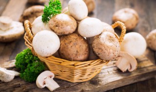 菌菇常温怎么保存 菌菇常温保存还是冷藏