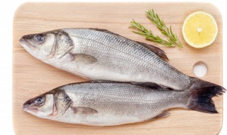 鲈鱼杀了可以放冰箱冷冻吗 鲈鱼杀了可以放冷藏吗