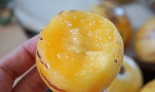 人参果吃了会不会上火 人参果吃了会不会上火呀