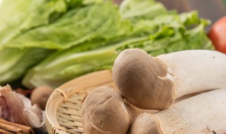 杏鲍菇变黄了还可以吃吗