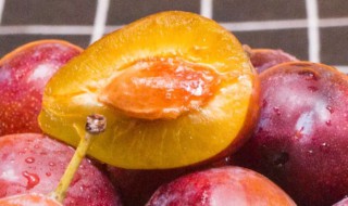 西梅软了还能吃吗（西梅软的是坏的吗）