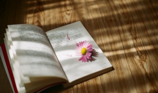 剑怎么读（剑拔弩张怎么读）