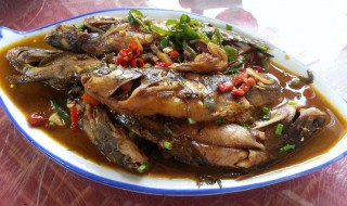 昂刺鱼怎么烧 昂刺鱼怎么烧汤好喝