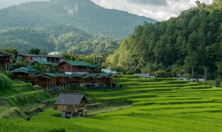 南昆山在哪里（惠州南昆山在哪里）