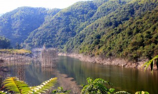 小九寨在哪里（浙东小九寨在哪里）