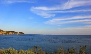 广鹿岛在哪（广鹿岛在哪里）