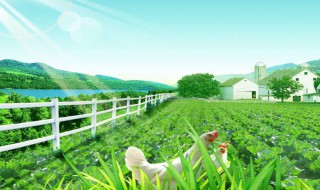 第一产业是什么（第一产业是什么意思）