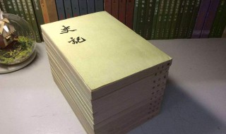 我国第一部纪传体通史是（编年体,纪传体,国别体）