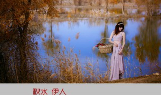 秋水伊人什么意思 秋水伊人什么意思打一生肖动物