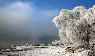 下雪天的心情说说 形容下雪天的心情说说