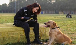 警花与警犬演员表介绍 警花与警犬演员表介绍 樱桃