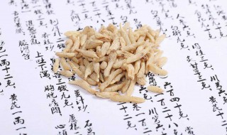 麦冬的功效与作用禁忌(麦冬的功效与作用禁忌和用量)