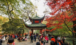 长沙市一日游必去景点 长沙市一日游必去景点岳麓山