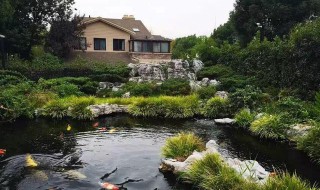 偏安一隅是什么意思 偏安一隅是什么意思解释词语