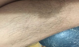 男生怎样去腿毛 男生怎样去腿毛不再长