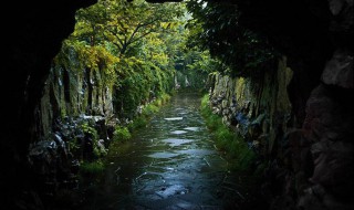 曲径通幽是什么意思 曲径通幽处的隐晦含义