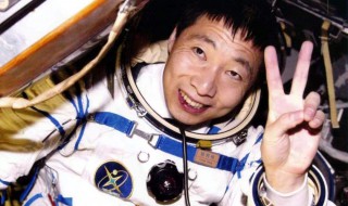 杨利伟的资料 杨利伟的资料不少于350字