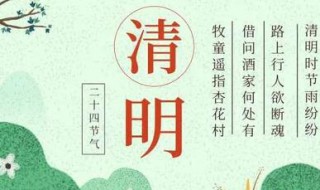 清明节的资料 春节的资料