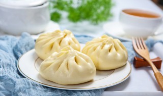 怎么发面包子的做法和配方（发面包子怎么做又软又香视频）