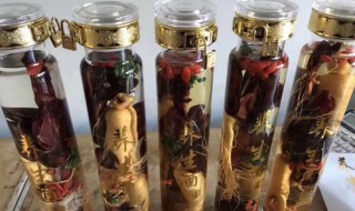 鹿鞭的功效（鹿鞭的功效和作用）