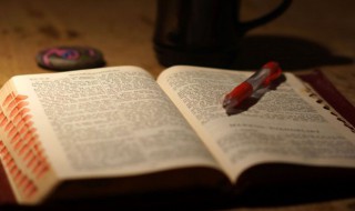 介绍呼和浩特的作文500字 介绍呼和浩特市的作文