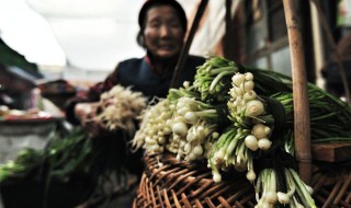 大脑瓜的腌制方法（大脑瓜的腌制方法大全）