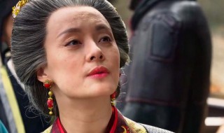 赢政的母亲是芈月吗（赢政的祖母是芈月吗）